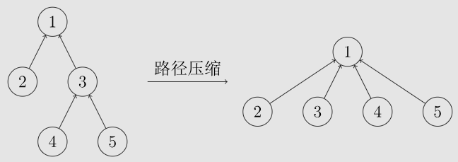 路径压缩